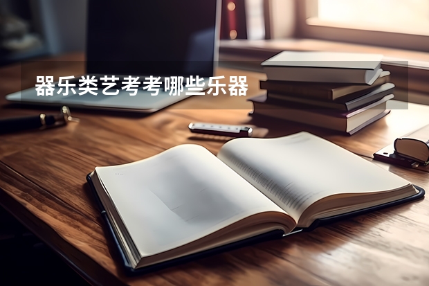 器乐类艺考考哪些乐器